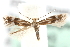  ( - MM03942)  @14 [ ] CreativeCommons - Attribution (2010) Unspecified Centre for Biodiversity Genomics