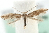  ( - MM03957)  @12 [ ] CreativeCommons - Attribution (2010) Unspecified Centre for Biodiversity Genomics