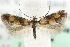  ( - MM03994)  @13 [ ] CreativeCommons - Attribution (2010) Unspecified Centre for Biodiversity Genomics