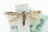  ( - MM04046)  @14 [ ] CreativeCommons - Attribution (2010) Unspecified Centre for Biodiversity Genomics