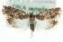  ( - MM04048)  @14 [ ] CreativeCommons - Attribution (2010) Unspecified Centre for Biodiversity Genomics