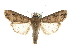  ( - MM04210)  @14 [ ] CreativeCommons - Attribution (2010) Unspecified Centre for Biodiversity Genomics
