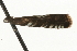  ( - MM03207)  @12 [ ] CreativeCommons - Attribution (2010) Unspecified Centre for Biodiversity Genomics