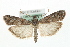  ( - MM03550)  @13 [ ] CreativeCommons - Attribution (2010) Unspecified Centre for Biodiversity Genomics