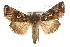  ( - MM03614)  @14 [ ] CreativeCommons - Attribution (2010) Unspecified Centre for Biodiversity Genomics