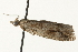  ( - MM03477)  @13 [ ] CreativeCommons - Attribution (2010) Unspecified Centre for Biodiversity Genomics