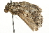  ( - MM04569)  @14 [ ] CreativeCommons - Attribution (2010) Unspecified Centre for Biodiversity Genomics