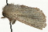  ( - MM04644)  @12 [ ] CreativeCommons - Attribution (2010) Unspecified Centre for Biodiversity Genomics