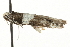 ( - MM05044)  @12 [ ] CreativeCommons - Attribution (2010) Unspecified Centre for Biodiversity Genomics