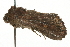  ( - MM05111)  @12 [ ] CreativeCommons - Attribution (2010) Unspecified Centre for Biodiversity Genomics