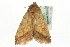  ( - MM05115)  @11 [ ] CreativeCommons - Attribution (2010) Unspecified Centre for Biodiversity Genomics