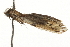  ( - MM05212)  @12 [ ] CreativeCommons - Attribution (2010) Unspecified Centre for Biodiversity Genomics