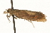  ( - MM03669)  @13 [ ] CreativeCommons - Attribution (2010) Unspecified Centre for Biodiversity Genomics