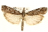  ( - MM03699)  @14 [ ] CreativeCommons - Attribution (2010) Unspecified Centre for Biodiversity Genomics