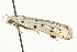  ( - MM05218)  @12 [ ] CreativeCommons - Attribution (2010) Unspecified Centre for Biodiversity Genomics