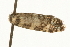  ( - MM05262)  @12 [ ] CreativeCommons - Attribution (2010) Unspecified Centre for Biodiversity Genomics