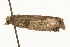  ( - MM05265)  @12 [ ] CreativeCommons - Attribution (2010) Unspecified Centre for Biodiversity Genomics