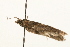  ( - MM05307)  @13 [ ] CreativeCommons - Attribution (2010) Unspecified Centre for Biodiversity Genomics