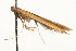  ( - MM05329)  @12 [ ] CreativeCommons - Attribution (2010) Unspecified Centre for Biodiversity Genomics