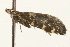  ( - MM05349)  @12 [ ] CreativeCommons - Attribution (2010) Unspecified Centre for Biodiversity Genomics