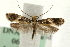  ( - MM06790)  @14 [ ] CreativeCommons - Attribution (2010) Unspecified Centre for Biodiversity Genomics
