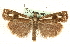  ( - MM06824)  @14 [ ] CreativeCommons - Attribution (2010) Unspecified Centre for Biodiversity Genomics