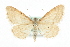  ( - MM06859)  @14 [ ] CreativeCommons - Attribution (2010) Unspecified Centre for Biodiversity Genomics