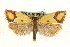  ( - MM06900)  @15 [ ] CreativeCommons - Attribution (2010) Unspecified Centre for Biodiversity Genomics