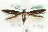  ( - MM05970)  @14 [ ] CreativeCommons - Attribution (2010) Unspecified Centre for Biodiversity Genomics
