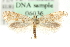  (Digitivalva reticulella - MM06036)  @14 [ ] CreativeCommons - Attribution (2010) Unspecified Centre for Biodiversity Genomics