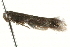  ( - MM06301)  @12 [ ] CreativeCommons - Attribution (2010) Unspecified Centre for Biodiversity Genomics