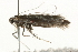  ( - MM06448)  @12 [ ] CreativeCommons - Attribution (2010) Unspecified Centre for Biodiversity Genomics