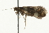  ( - MM06496)  @12 [ ] CreativeCommons - Attribution (2010) Unspecified Centre for Biodiversity Genomics