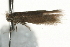  ( - MM06518)  @12 [ ] CreativeCommons - Attribution (2010) Unspecified Centre for Biodiversity Genomics