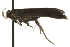  ( - MM06541)  @12 [ ] CreativeCommons - Attribution (2010) Unspecified Centre for Biodiversity Genomics