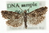  ( - MM06623)  @14 [ ] CreativeCommons - Attribution (2010) Unspecified Centre for Biodiversity Genomics