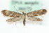  ( - MM06675)  @14 [ ] CreativeCommons - Attribution (2010) Unspecified Centre for Biodiversity Genomics