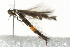  ( - MM06176)  @12 [ ] CreativeCommons - Attribution (2010) Unspecified Centre for Biodiversity Genomics