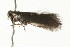  ( - MM06188)  @13 [ ] CreativeCommons - Attribution (2010) Unspecified Centre for Biodiversity Genomics