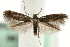  ( - MM06222)  @14 [ ] CreativeCommons - Attribution (2010) Unspecified Centre for Biodiversity Genomics
