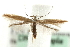  ( - MM06232)  @14 [ ] CreativeCommons - Attribution (2010) Unspecified Centre for Biodiversity Genomics