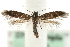  ( - MM06276)  @14 [ ] CreativeCommons - Attribution (2010) Unspecified Centre for Biodiversity Genomics