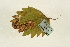  ( - MM09631)  @12 [ ] CreativeCommons - Attribution (2010) Unspecified Centre for Biodiversity Genomics