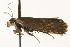  ( - MM09441)  @13 [ ] CreativeCommons - Attribution (2010) Unspecified Centre for Biodiversity Genomics