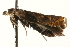  ( - MM09442)  @13 [ ] CreativeCommons - Attribution (2010) Unspecified Centre for Biodiversity Genomics