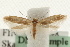  ( - MM09832)  @13 [ ] CreativeCommons - Attribution (2010) Unspecified Centre for Biodiversity Genomics