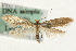  ( - MM09986)  @13 [ ] CreativeCommons - Attribution (2010) Unspecified Centre for Biodiversity Genomics