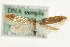  ( - MM09987)  @13 [ ] CreativeCommons - Attribution (2010) Unspecified Centre for Biodiversity Genomics