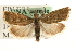 ( - MM10032)  @13 [ ] CreativeCommons - Attribution (2010) Unspecified Centre for Biodiversity Genomics