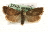  ( - MM10055)  @13 [ ] CreativeCommons - Attribution (2010) Unspecified Centre for Biodiversity Genomics